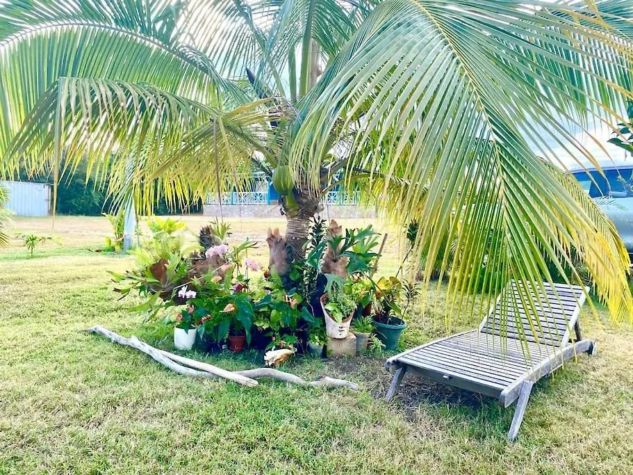 Lodge Bungalow A Petit Macabou Piscine & Plage A Proximite Le Vauclin